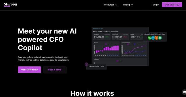 Sturppy Plus - AI powered CFO Copilot
