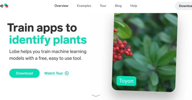 Lobe - Train ML models easily with Lobe