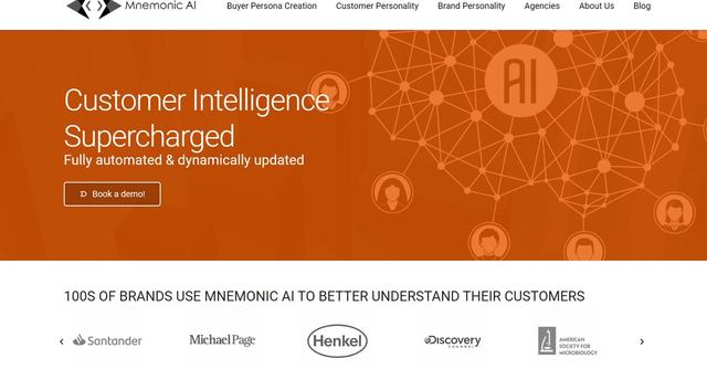 Mnemonic AI - Customer Intelligence Data Reimagined with AI