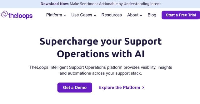 TheLoops - A CX operations platform that uses AI to empower Support and Success leaders