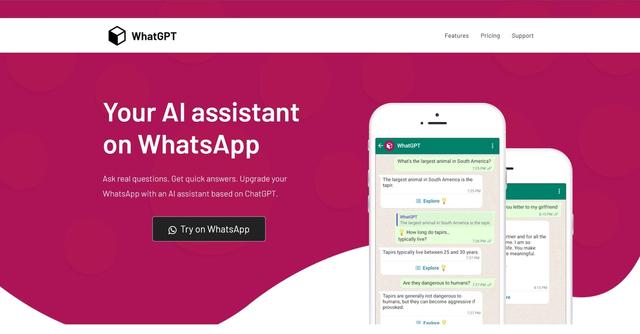 WhatGPT - Assisted efficient WhatsApp chats.