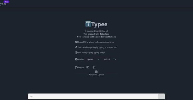 Typee - Customizable chat settings, and an intuitive interface to facilitate smooth and efficient conversations.
