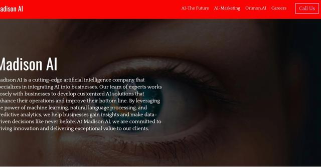 Madison AI  - Responsible for integrating AI tools into business operations