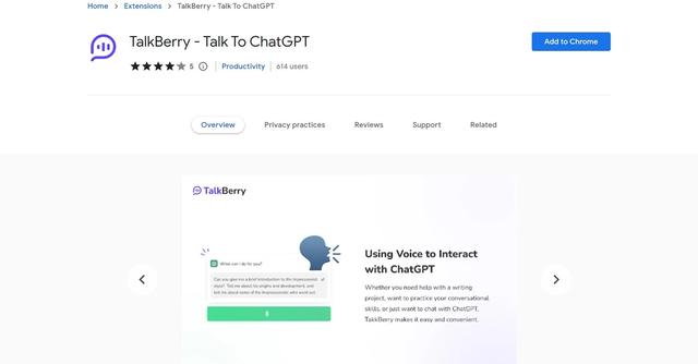 TalkBerry Plugin - Using voice to interact with ChatGPT