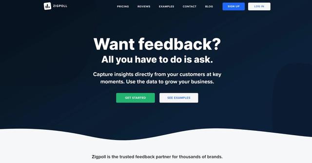 Zigpoll - Capture insights directly from your customers at key moments.