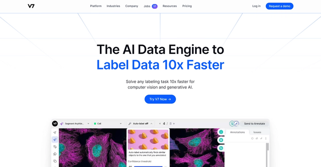 V7 - AI Data Engine for Computer Vision & Generative AI